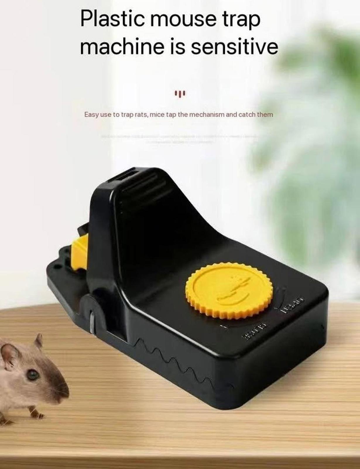 Mouse Traps