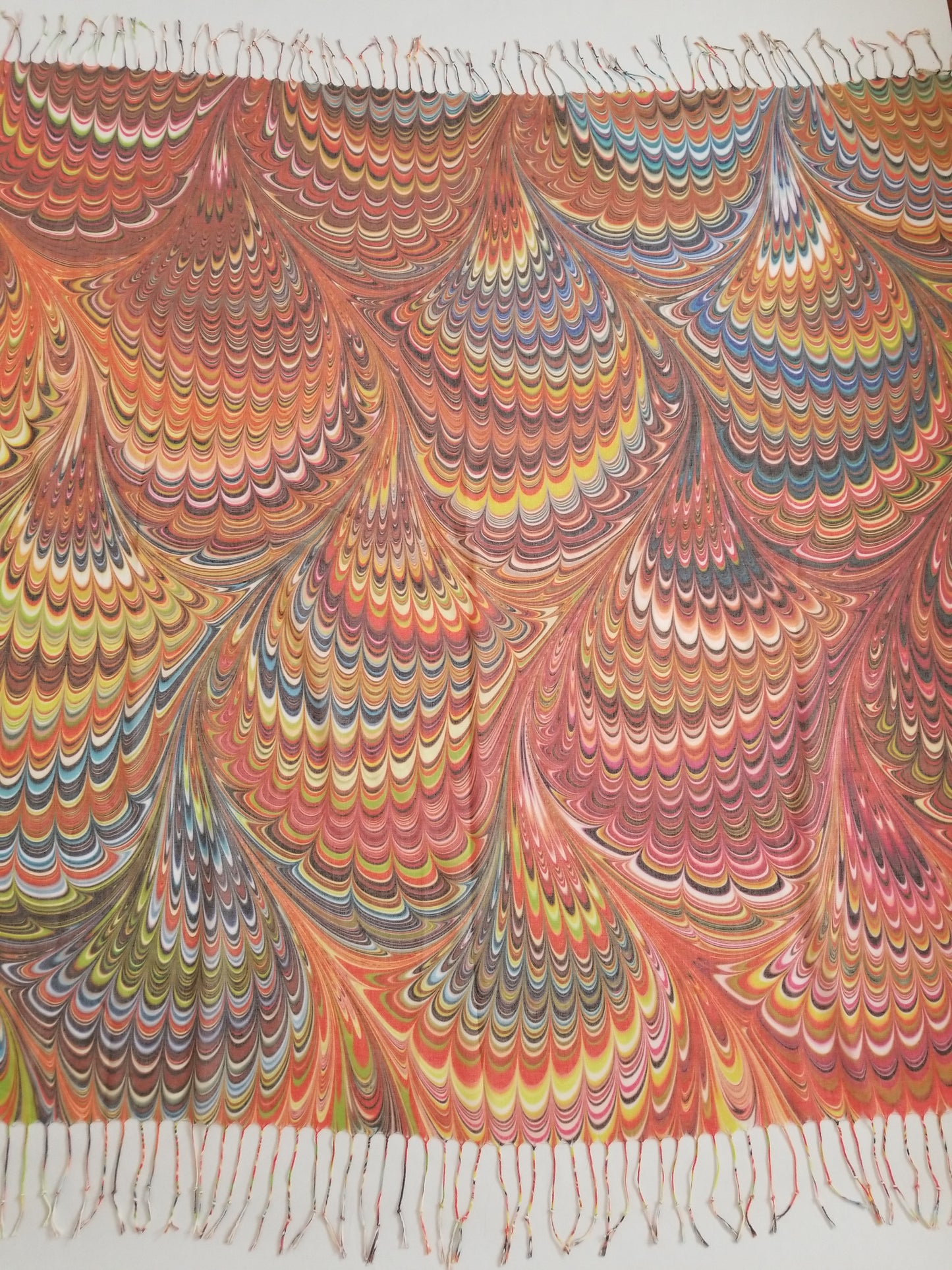 DP2317-12 - Coralala