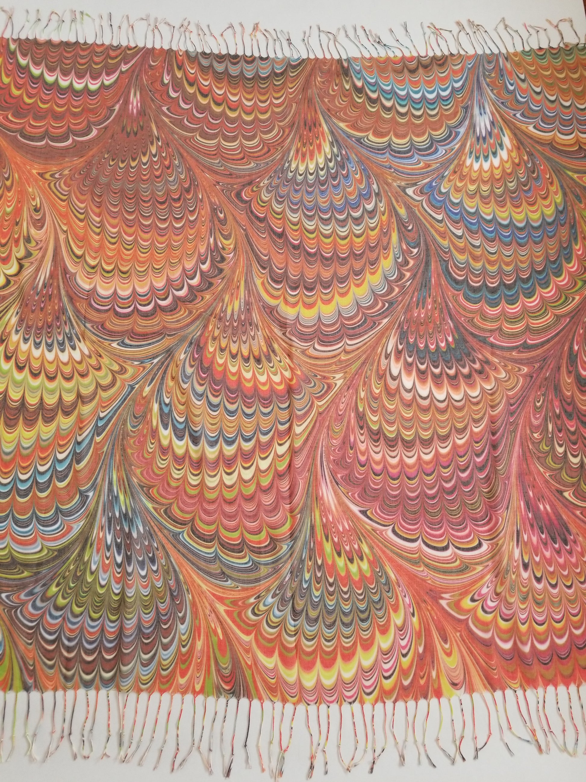 DP2317-12 - Coralala