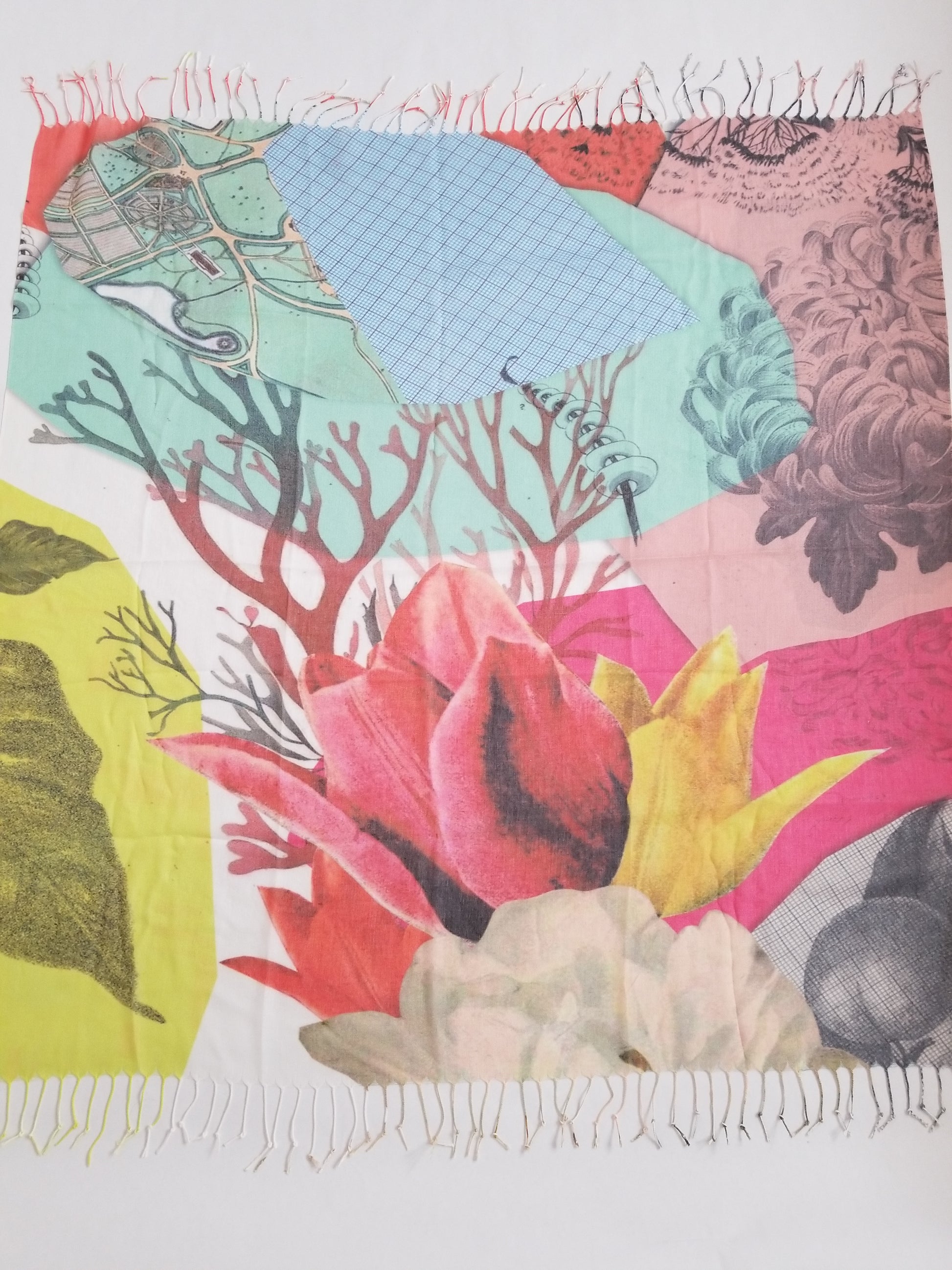 DP2317-13 - Coralala